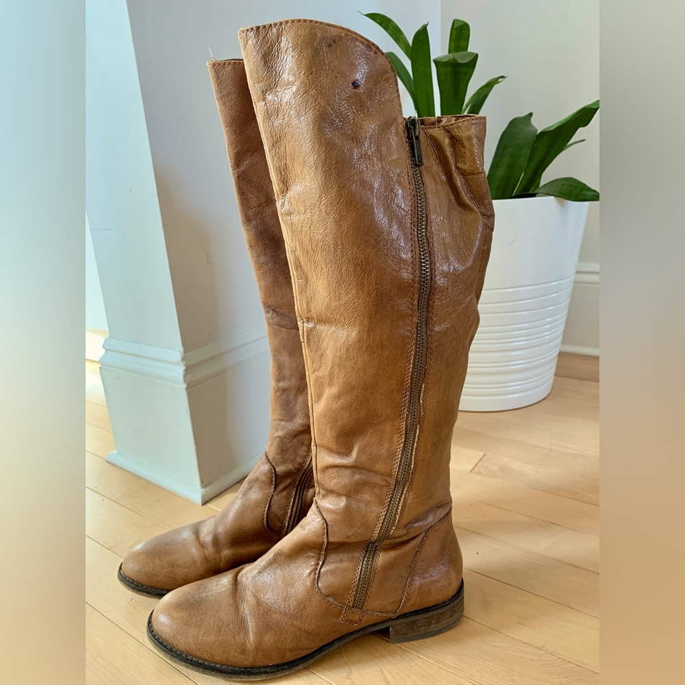 Steve Madden Riding Boots Size 9
